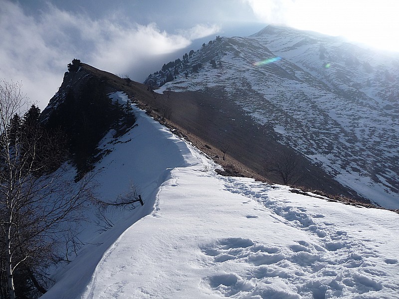 #1 à l à l'épaule 1650 m : l'arète que je vais suivre jusqu'au sommet