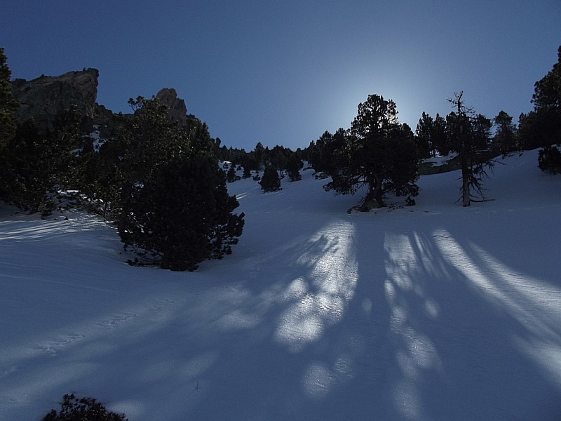 #10 Lumière et ombre : Avant de ranger l Lumière et ombre : Avant de ranger l'appareil..