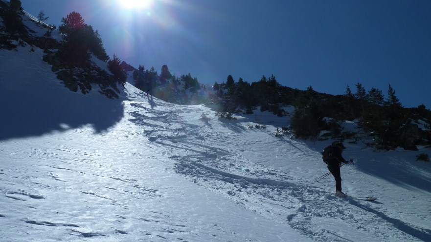 #6 Poudre Poudre