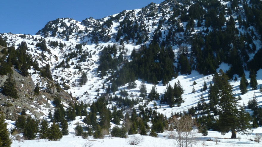 #7 La combe : vue d La combe : vue d'en bas, c'est évident !