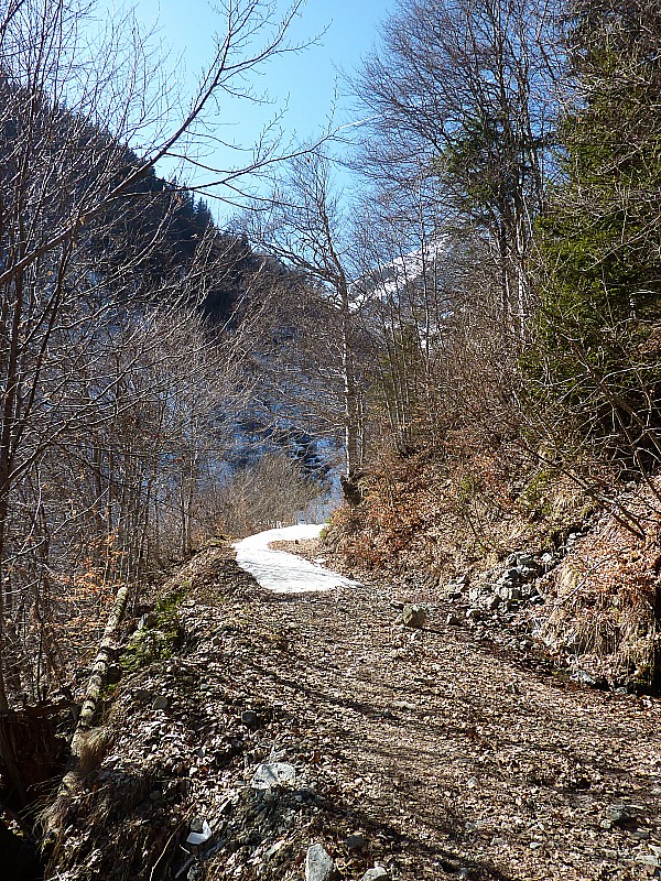 #17 Route forestière : Etat Route forestière : Etat