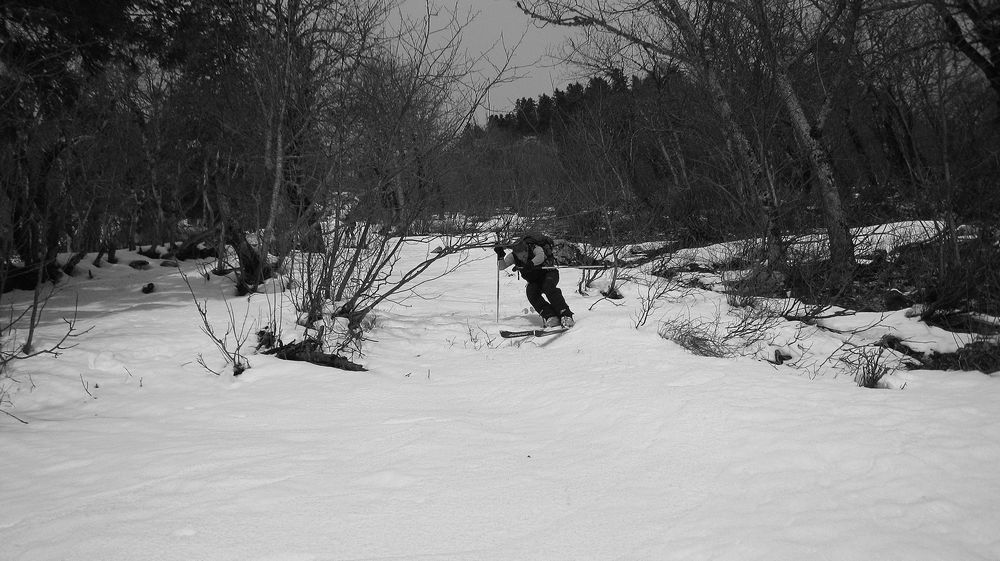 #3 Bec de la Scia : un peu de combat sur le bas, on est en foret tout de meme.... Bec de la Scia : un peu de combat sur le bas, on est en foret tout de meme....