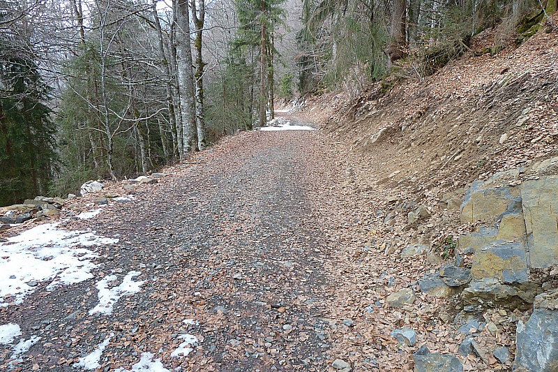 #1 etat du chemin : a mi-montée etat du chemin : a mi-montée