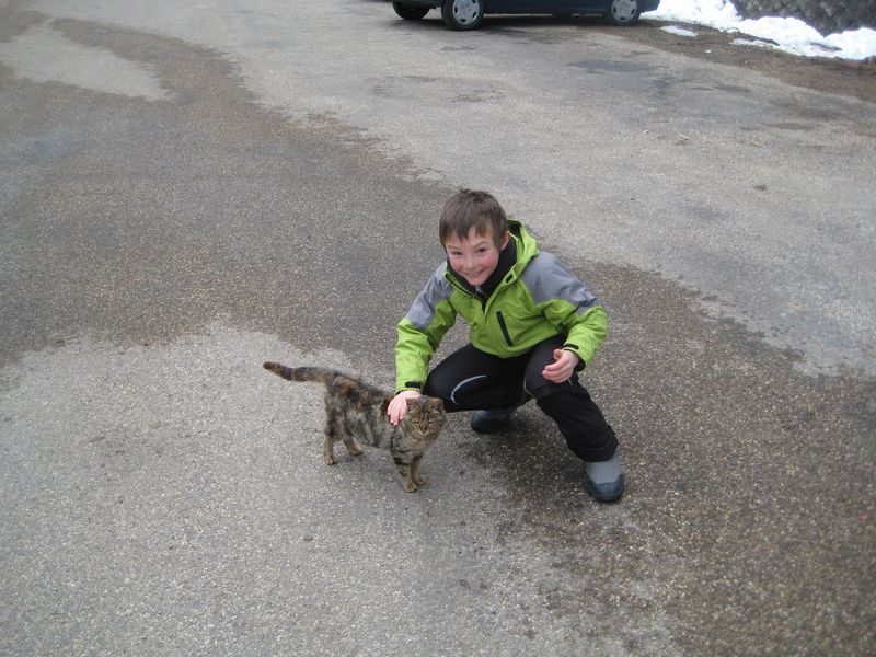 #6 les copains : à la voiture , un petit chat me félicite pour ma randonnée... les copains : à la voiture , un petit chat me félicite pour ma randonnée...