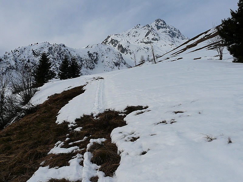#1 cime du Sambuis : les versants S de la combe de Montrond ont souffert cime du Sambuis : les versants S de la combe de Montrond ont souffert