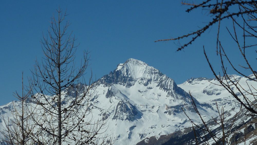 #2 Dent Parrachée : la face Est est encore un peu juste... Dent Parrachée : la face Est est encore un peu juste...