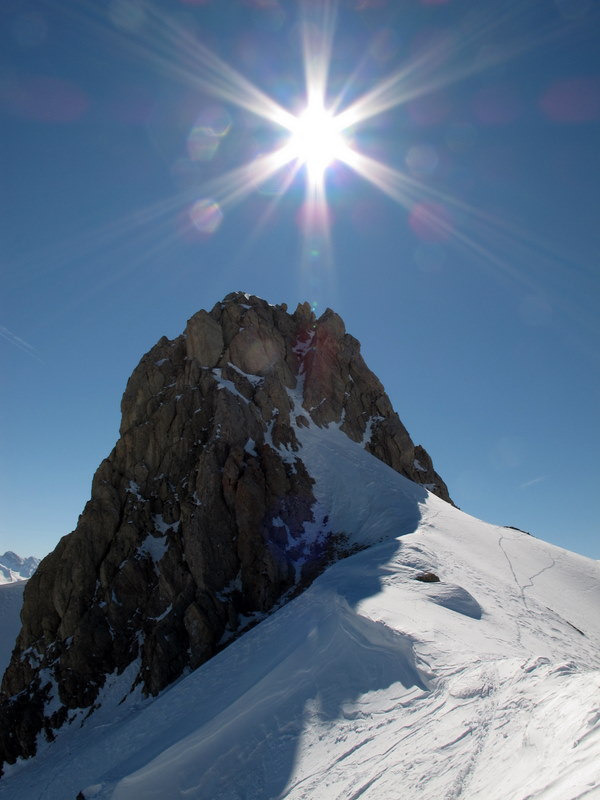 #3 Dent de Ratier : belle molaire ! Dent de Ratier : belle molaire !