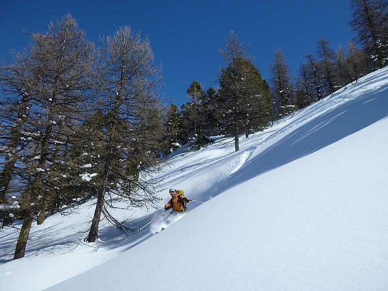 #6 Forêt de Marassan : Poudre vierge extra fraiche! Forêt de Marassan : Poudre vierge extra fraiche!
