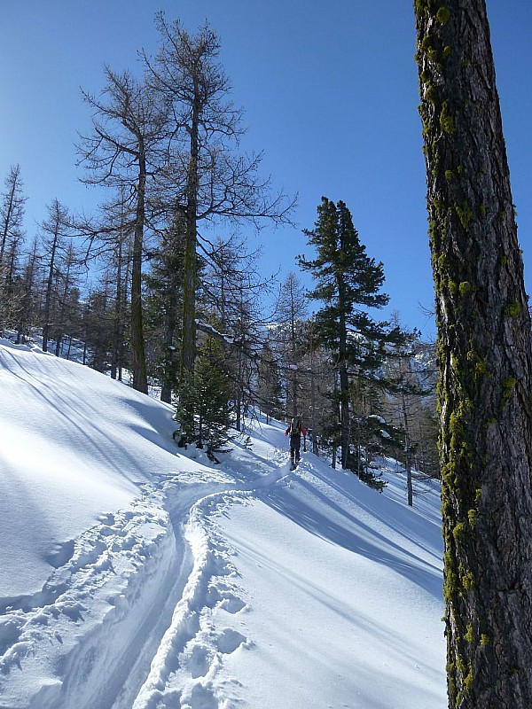 #1 Forêt de Marassan : Il y a la quantité de poudre! Forêt de Marassan : Il y a la quantité de poudre!