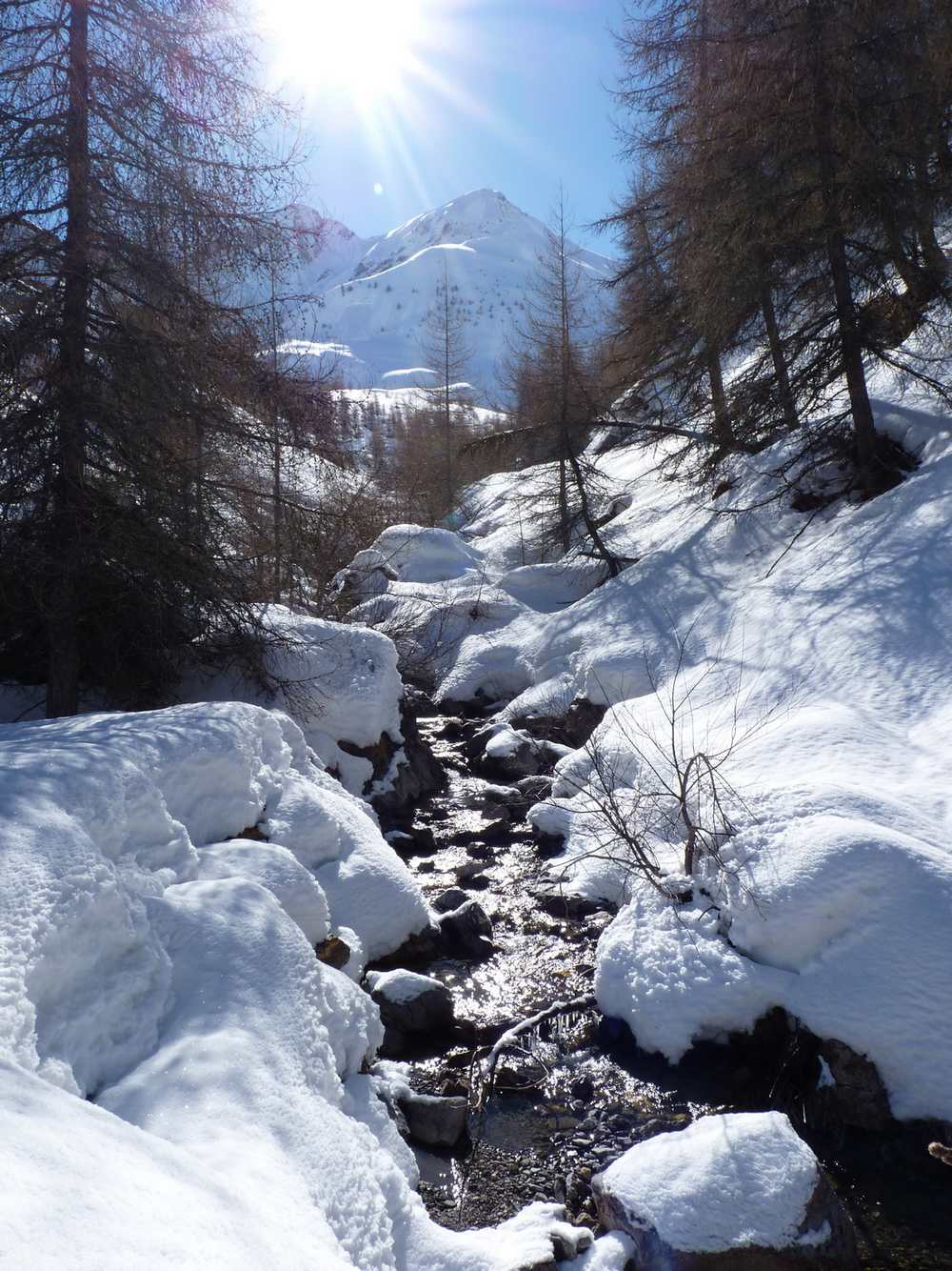 #6 Retour : Par le torrent du Lautaret Retour : Par le torrent du Lautaret