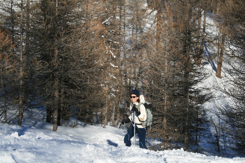 Dans le bois de l'Anjurianne : qui sourit à la montée cassera la croûte à la descente!