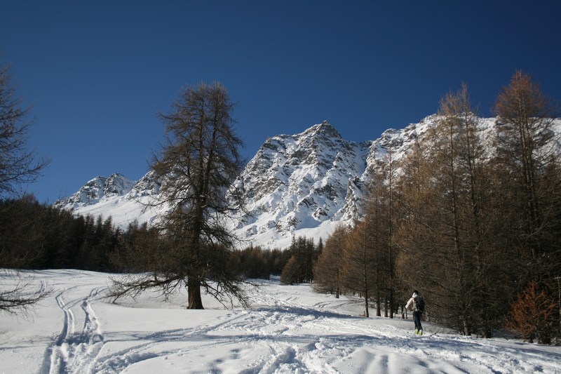 Château Renard : se dévoile.