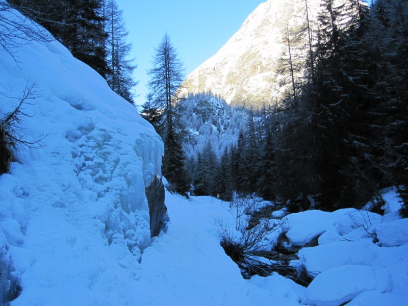 Dans le bois : Le chemin est parfait pour l'enneigement