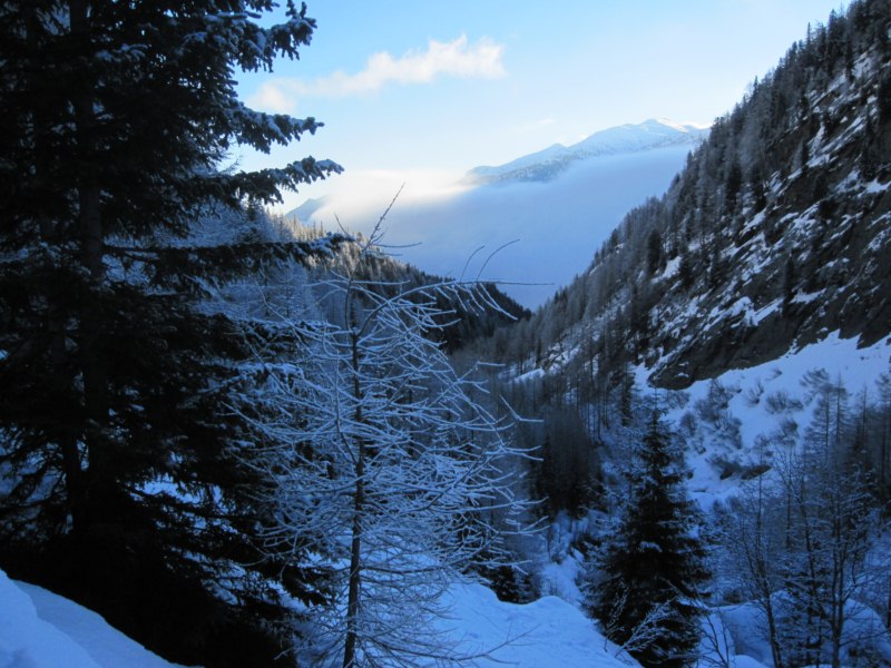 Au débouché du bois : La vallée reste dans les nuages