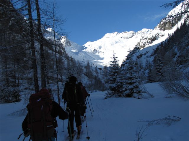 #1 vallon de Bérard : à la sortie de la forêt vallon de Bérard : à la sortie de la forêt