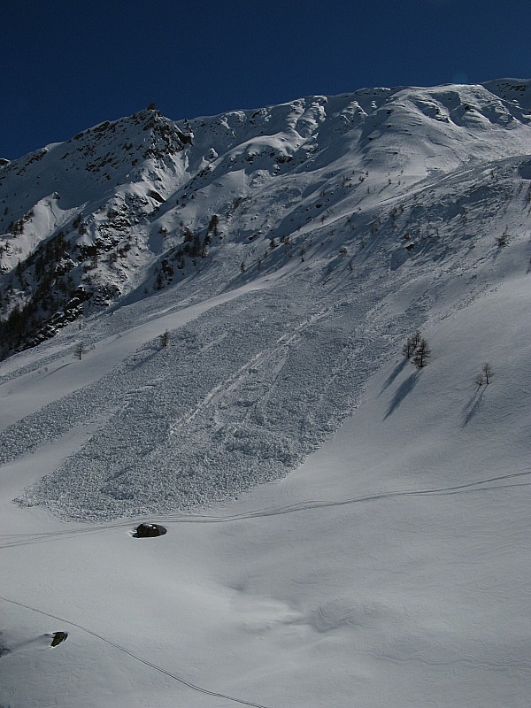 Coulée avalanche : Jolis coulée d'avalanche assez ancienne sur le versant nord en descente vers 2000m