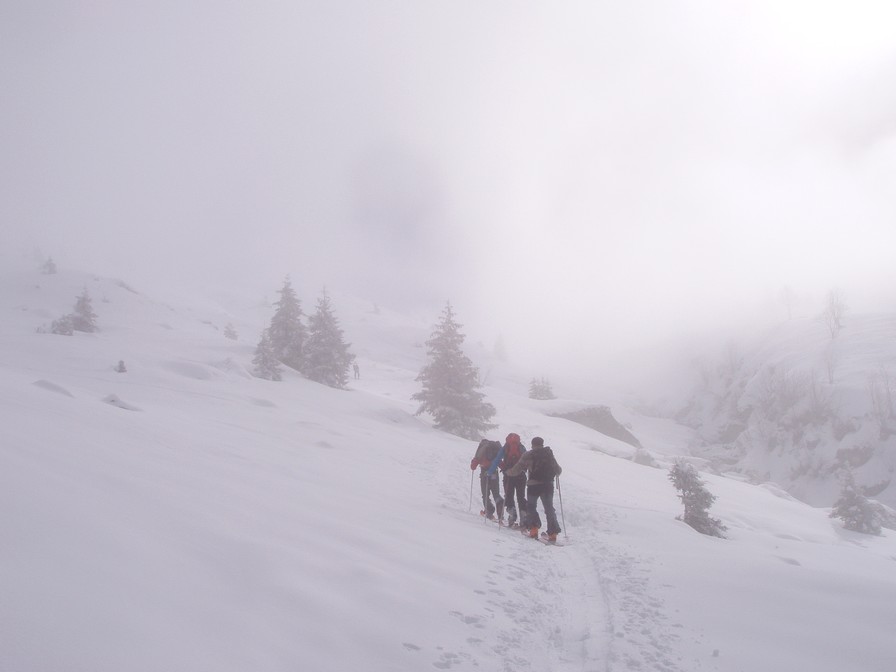 #1 Brouillard : Fallait y croire... Brouillard : Fallait y croire...