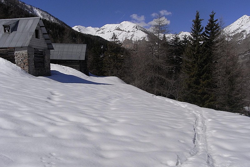 #2 Grange 1700M : Grange à 1700m. Hop Exercice Recherche DVA Grange 1700M : Grange à 1700m. Hop Exercice Recherche DVA