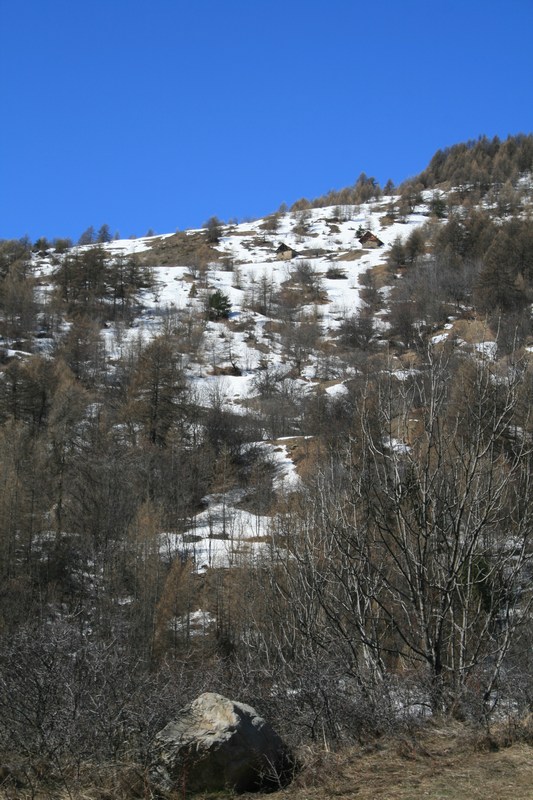 #1 Encore un peu de neige : mais plus pour longtemps sous les Garcines. Encore un peu de neige : mais plus pour longtemps sous les Garcines.