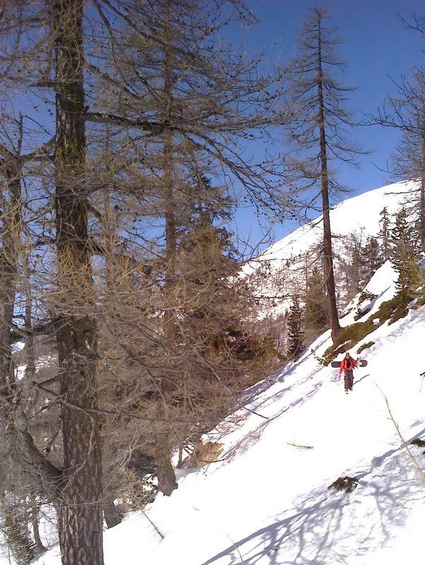 #5 piste du lac neigre : remontée au col de salèse au milieu des mélèzes piste du lac neigre : remontée au col de salèse au milieu des mélèzes