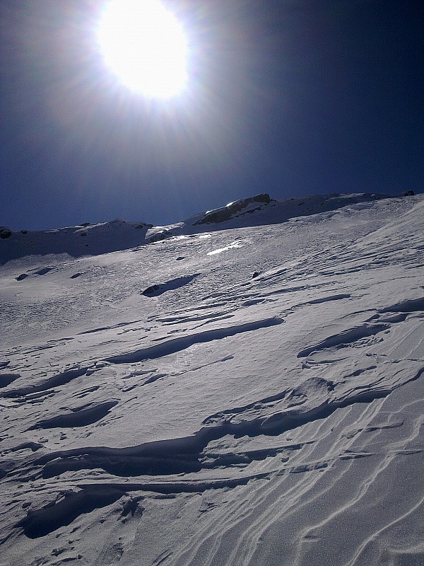 #3 Les conditions de la sortie : un vrai régal ! Les conditions de la sortie : un vrai régal !