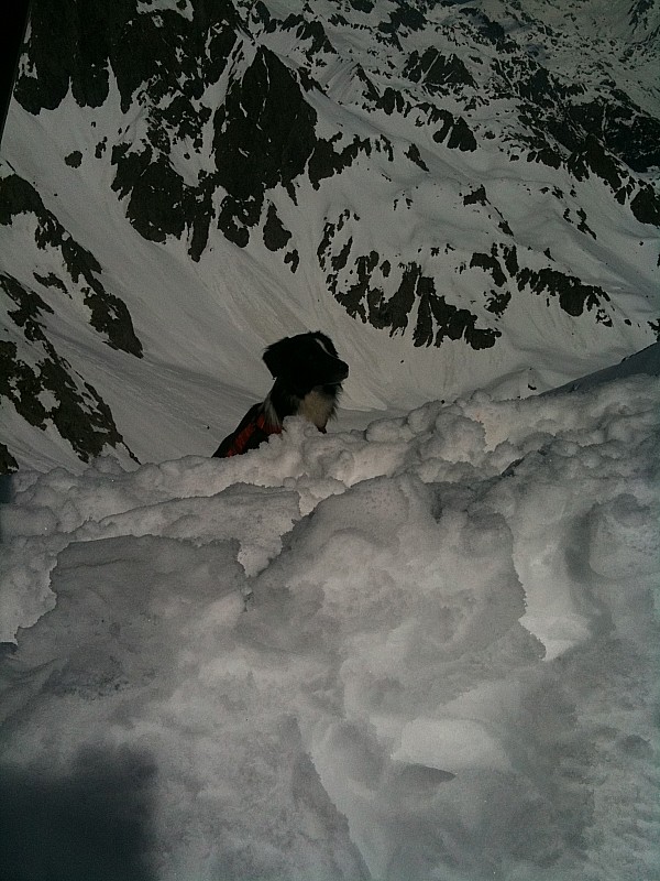 #4 Marmotte mutante : Les effets de Fukushima ? Marmotte mutante : Les effets de Fukushima ?