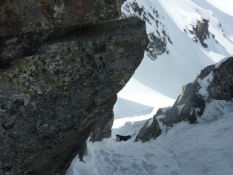 #10 Les chiens bloqué par la glace : ça jappe en bas du couloir ! Les chiens bloqué par la glace : ça jappe en bas du couloir !