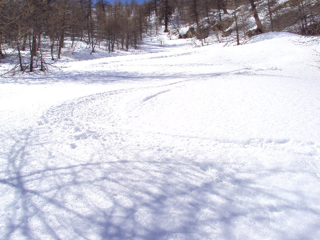 #10 sanguineirette : bonne neige transfo sanguineirette : bonne neige transfo
