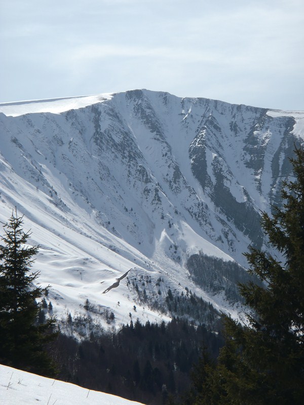 #1 la face depuis les pistes, les conditions du jour la face depuis les pistes, les conditions du jour