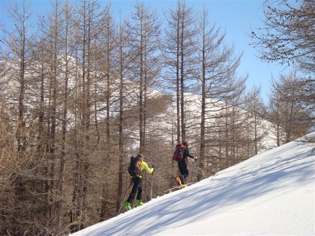 #2 Fini la forêt, : le soleil arrive Fini la forêt, : le soleil arrive