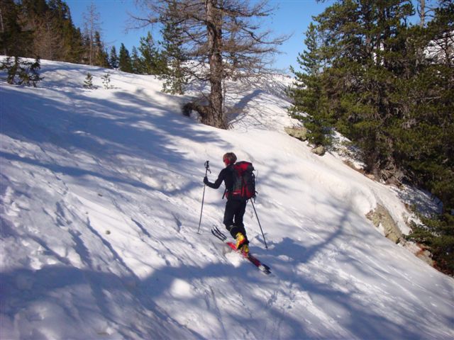#1 Forêt : Montée en neige dure Forêt : Montée en neige dure