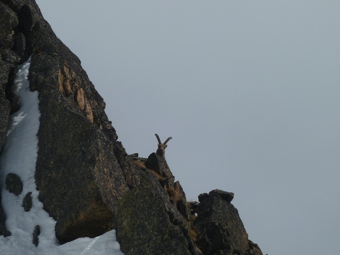 #13 Le Pelago bien défendu : par le seigneur local Le Pelago bien défendu : par le seigneur local