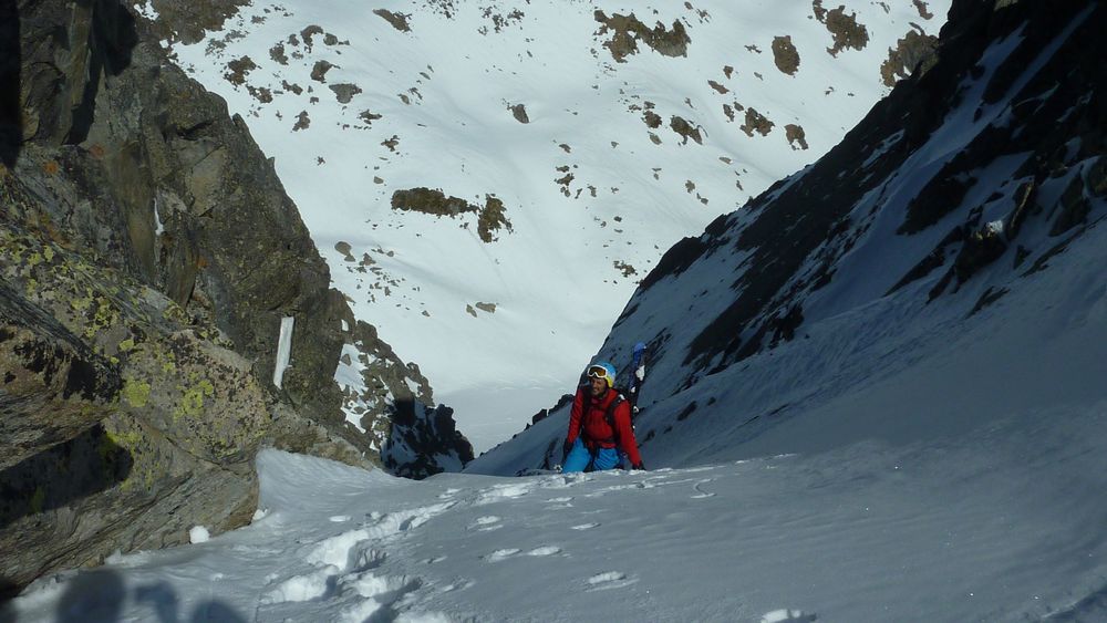 #8 Sortie : Shama sort en pleine lumiere Sortie : Shama sort en pleine lumiere