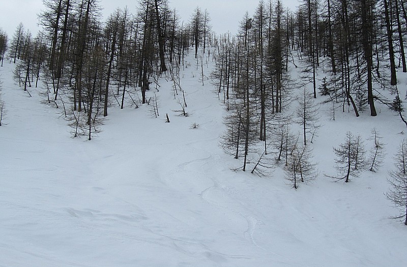 #7 L L'Alpet : Petit passage sympa dans le bois