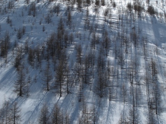 #7 Tete du Laup Tete du Laup