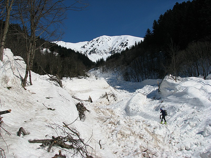 #4 Elle est partie de la haut : elle a raviné tout le vallon. Elle est partie de la haut : elle a raviné tout le vallon.