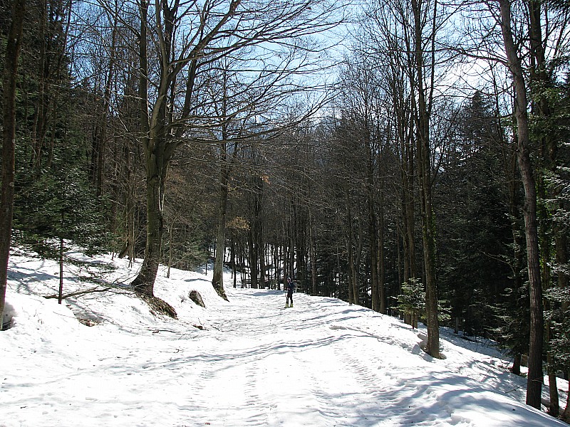 #2 Marco au départ : suivant la route forestière,ambiance printanière! Marco au départ : suivant la route forestière,ambiance printanière!