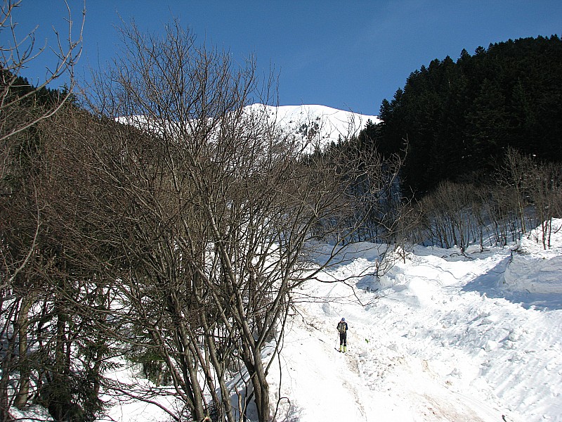 #3 Perdu dans les traces : de l Perdu dans les traces : de l'avalanche.Impressionnant!