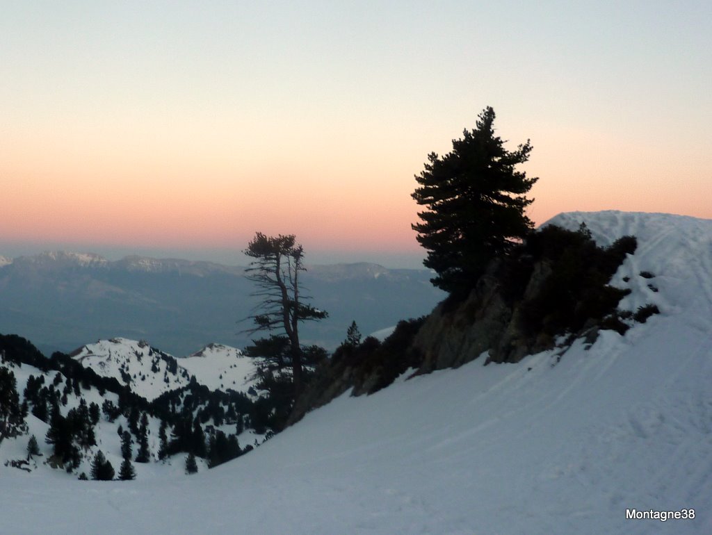 #2 Lueurs : Splendide Lueurs : Splendide