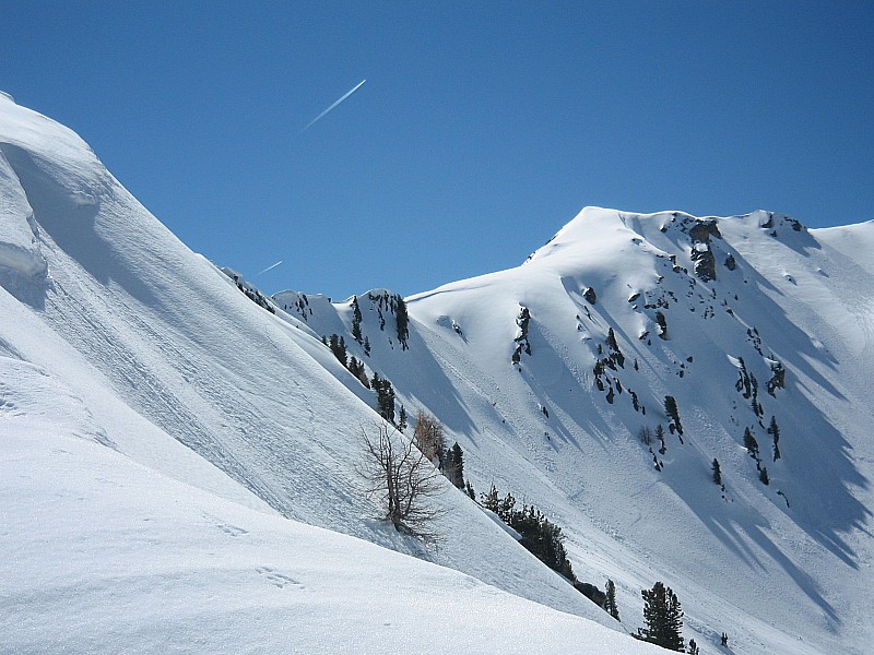 #7 Tête des Marges : au bout de la crête Tête des Marges : au bout de la crête