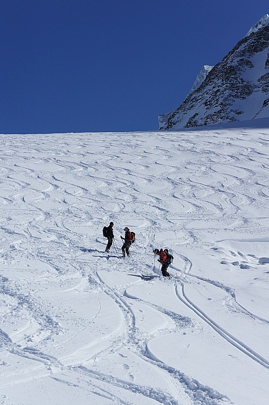 #3 Descente du glacier Pièce : La poudreuse sur le glacier de Pièce, la récompense. Descente du glacier Pièce : La poudreuse sur le glacier de Pièce, la récompense.