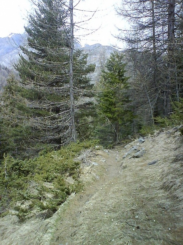 #1 Chemin de randonnée : C Chemin de randonnée : C'est l'été ! ;)