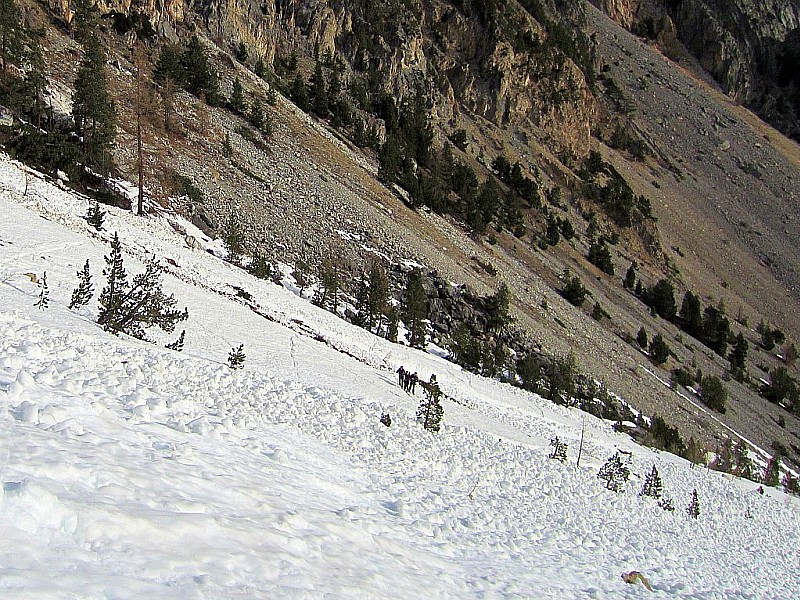 #2 combe de Malezan : Vue de la combe de Malezan ravagée par des avalanches combe de Malezan : Vue de la combe de Malezan ravagée par des avalanches