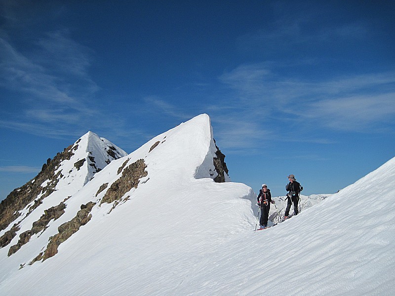 #1 trecolpas trecolpas