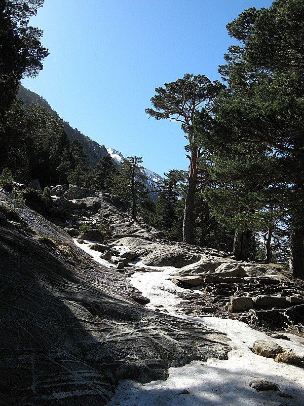 #3 Sentier GR10 avant le lac : Montée sur le GR10 avant le lac de Gaube Sentier GR10 avant le lac : Montée sur le GR10 avant le lac de Gaube