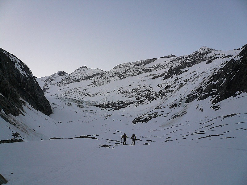 #6 pied du glacier : Trélatète pied du glacier : Trélatète