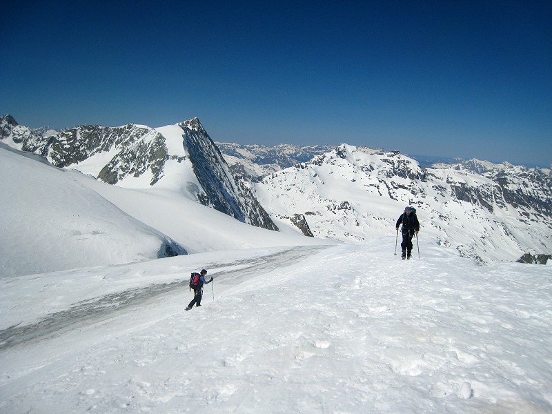 Pigne d'arolla : Vue sur le haut glacier de la serpentine