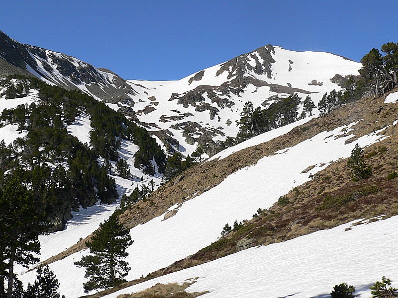 #1 Pic de Morties : encore de la neige Pic de Morties : encore de la neige