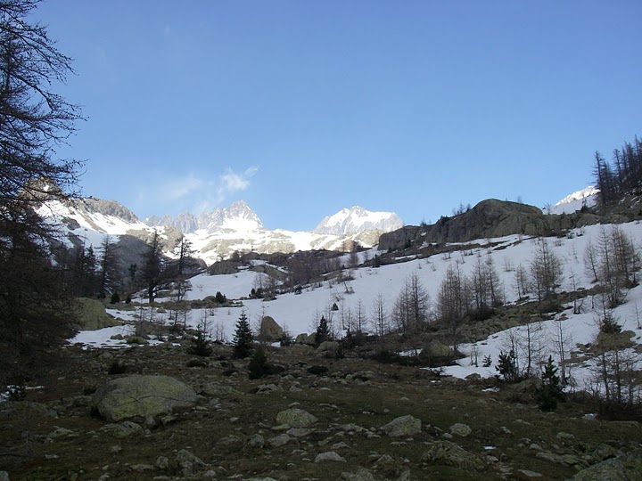 Vers la Madone : Faut slalomer à la descente pour trouver encore de la neige...