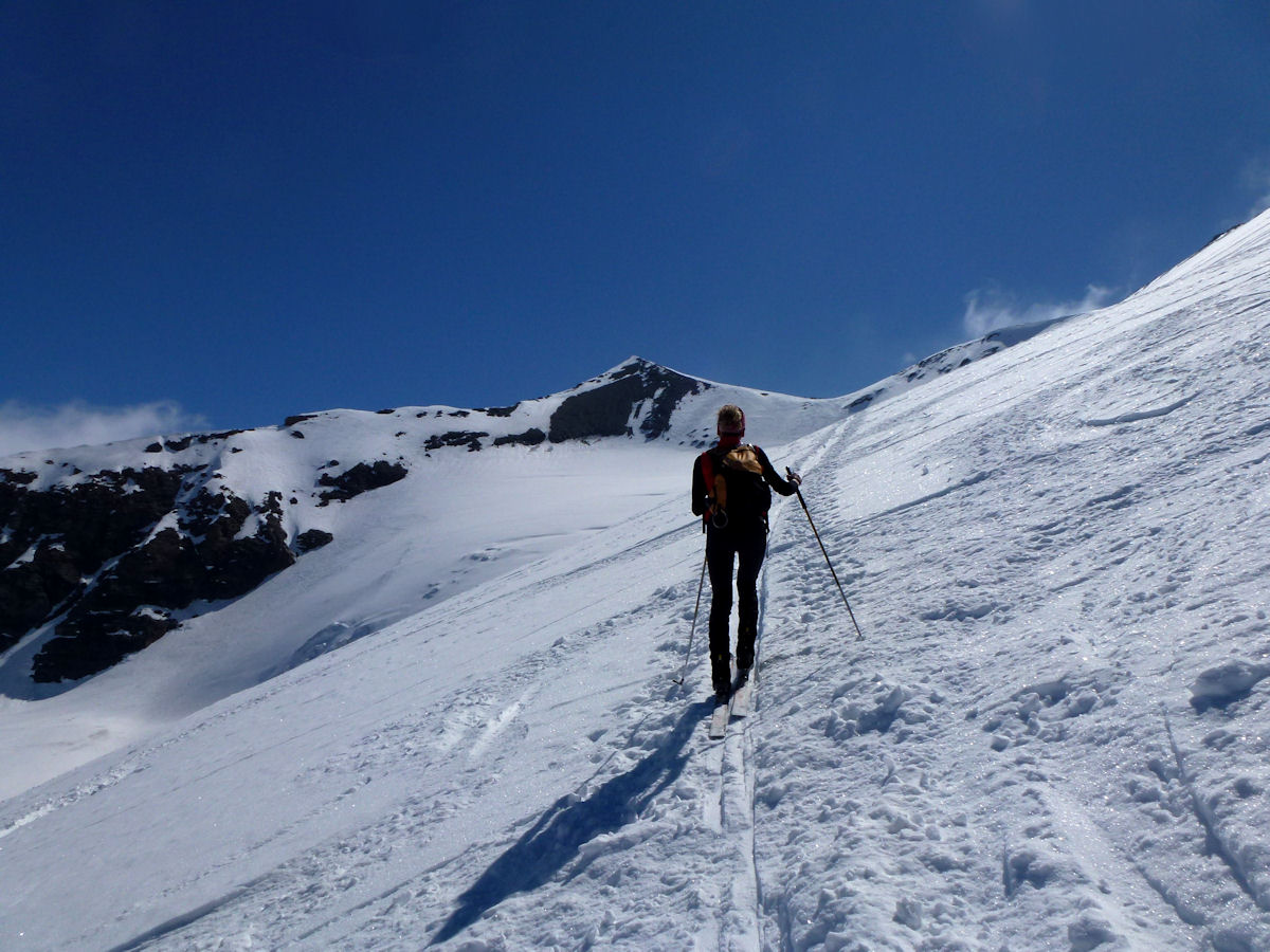 Glacier des sources de l'Isère : Plus de traces dans le secteur : nous venons de rejoindre la voie classique.